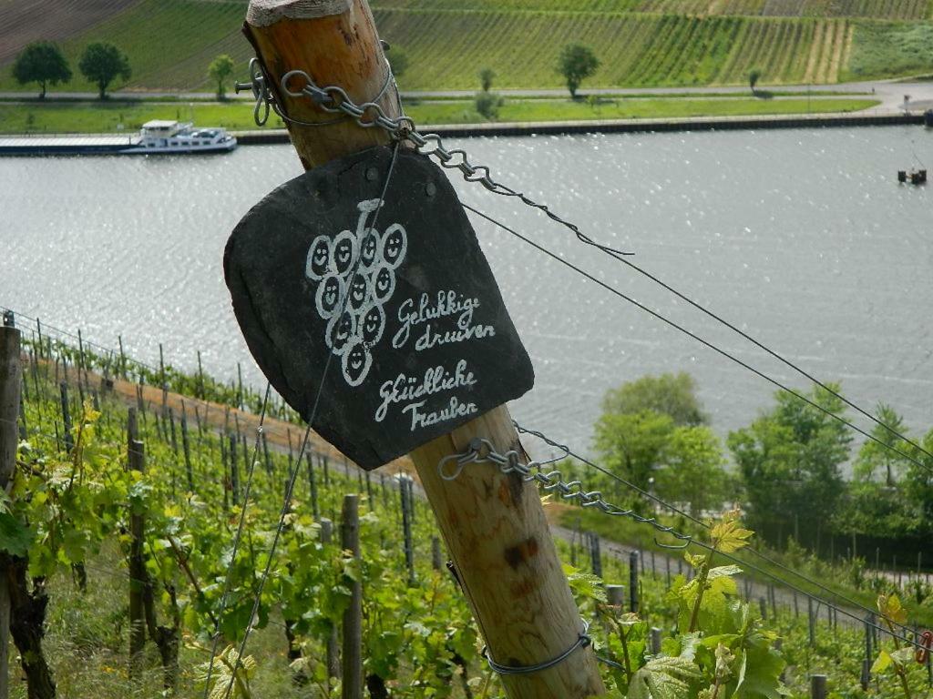 Ferienwohnung Flaemisches Weinhaus Wintrich Buitenkant foto